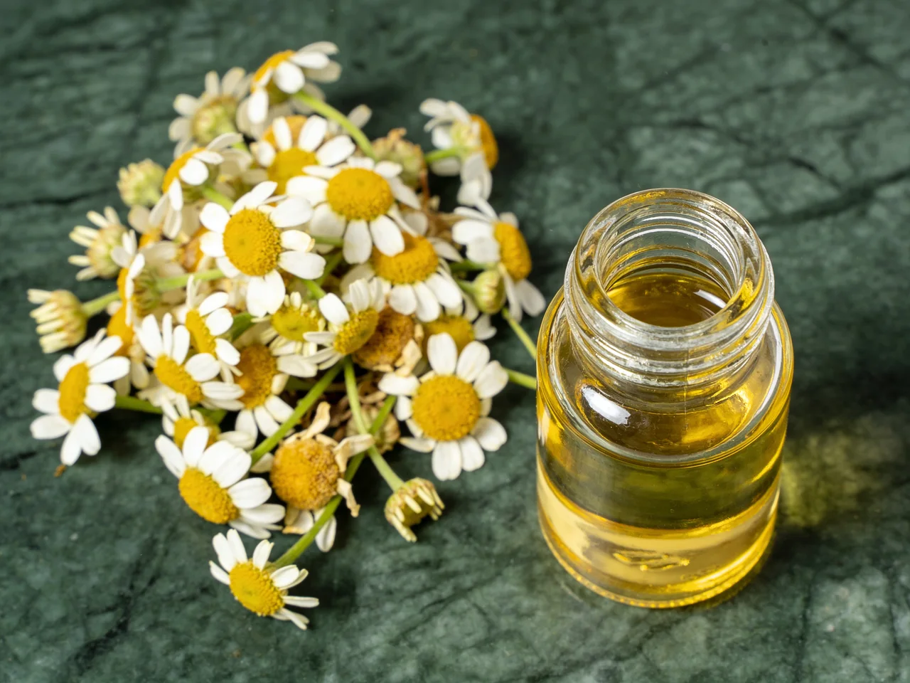 گل بابونه و بطری گیاهی روی سنگ